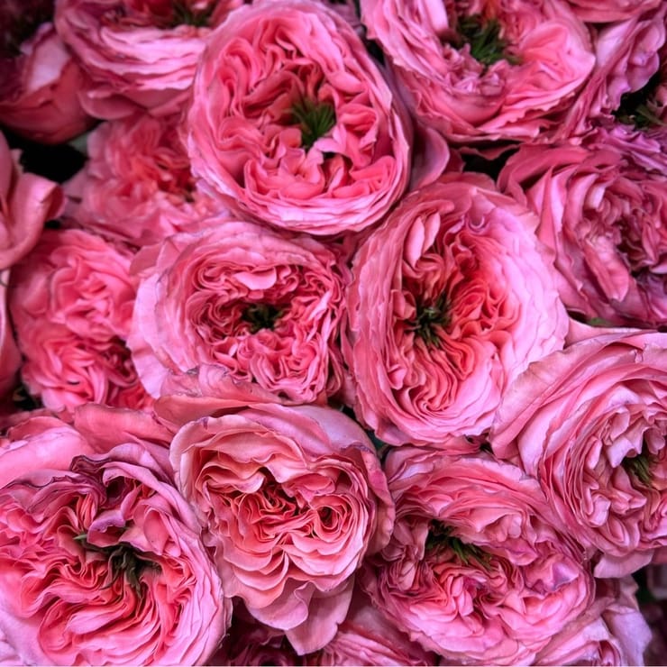 Rose Candy Xpression – flower delivery in Kiev - Local district