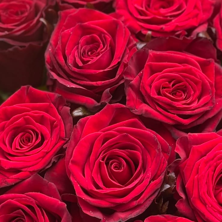 Ти в моєму серці + кулька – доставка квітів у Червоноармійськ