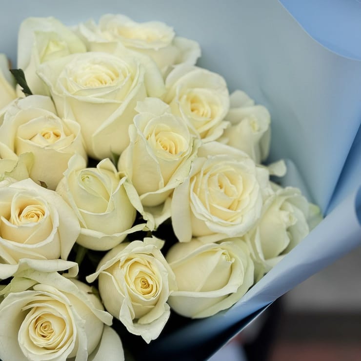 Букет 21 біла троянда – доставка квітів у Новоселівка