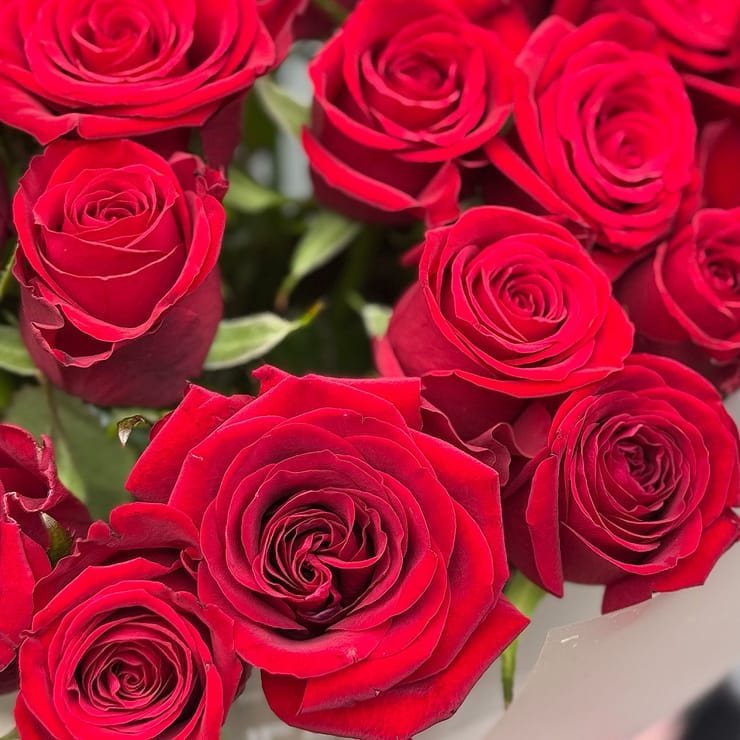 21 червона троянда – доставка квітів у Новоселівка