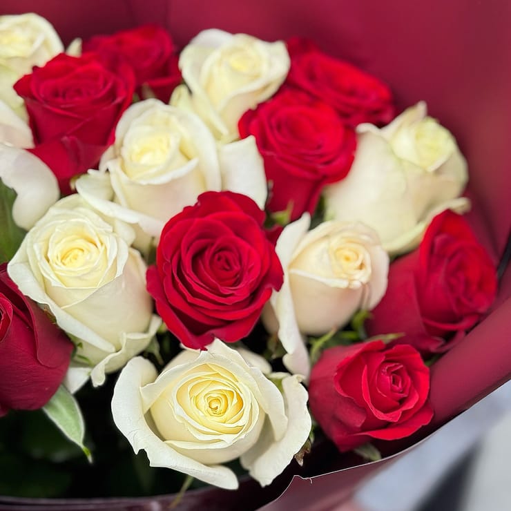 21 красная и белая роза – доставка цветов в Шепетовка