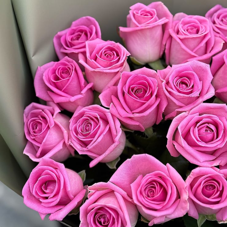 21 pink roses – flower delivery in Starobelsk