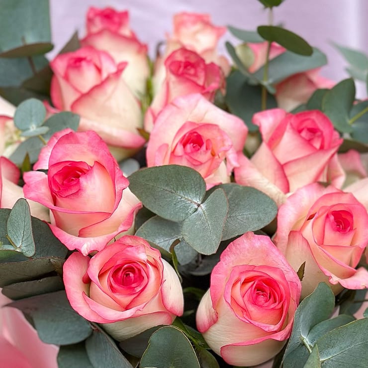 Розы в коробке Джумилия – доставка цветов в Фано