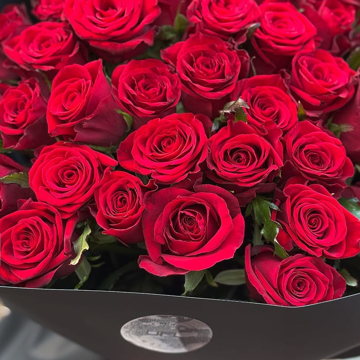 51 красная роза в черной упаковке – доставка цветов в Фано