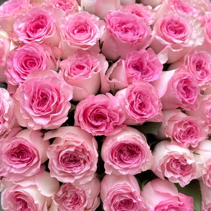 Rose Mandala by piece – flower delivery in Kiev - Local district