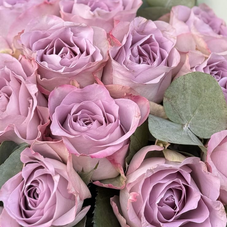 Букет 15 роз Мемори Лейн – доставка цветов в Дунаевцы