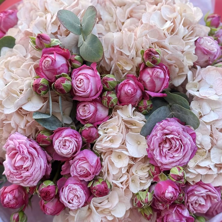 Пудровий букет гортензій і троянд – доставка квітів у Аваруа