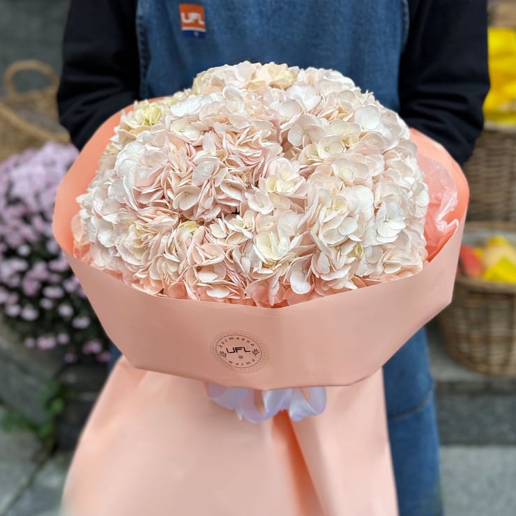 Букет рожевих гортензій – доставка квітів у Аваруа