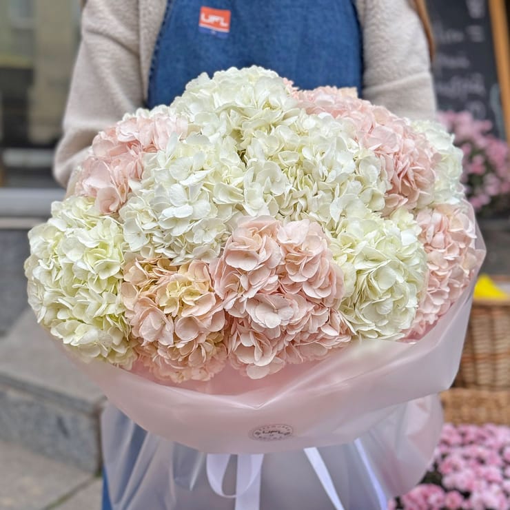 Ніжна хмара гортензій  – доставка квітів у Аваруа