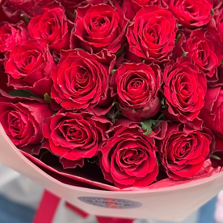 25 красных роз Кения – доставка цветов в Юбилейное (Запорожская область)