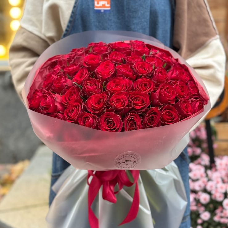 51 красная роза Кения – доставка цветов в Юбилейное (Запорожская область)