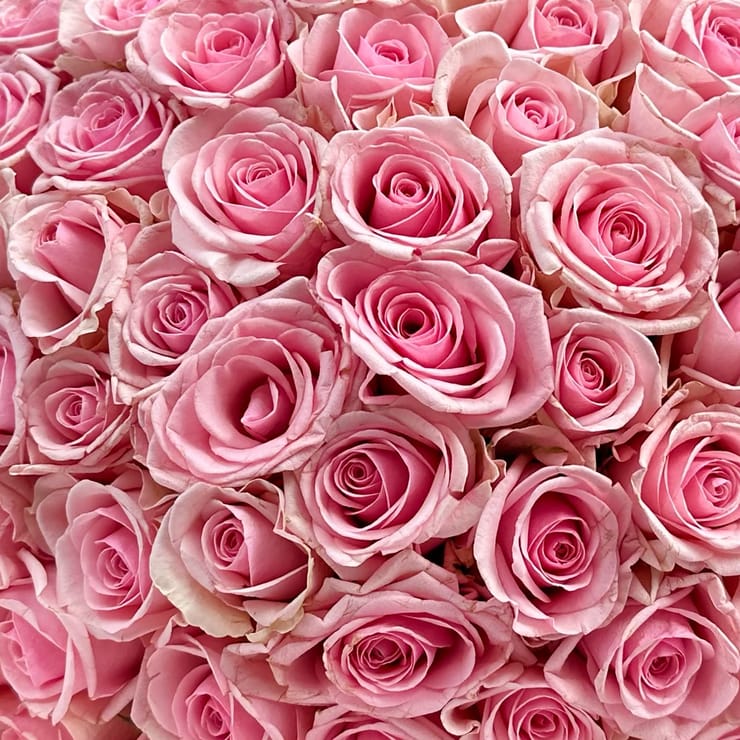 101 pink roses Kenia – доставка цветов в Rahov
