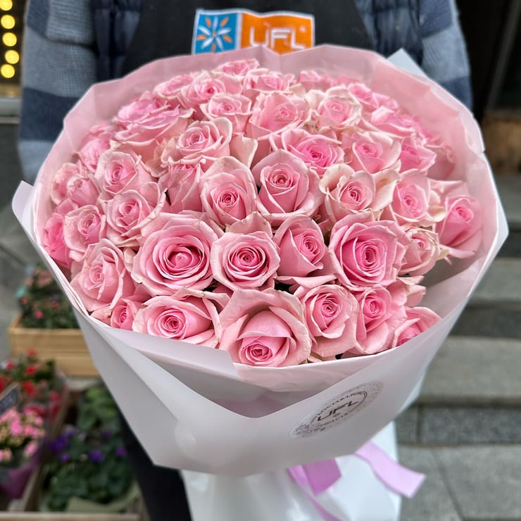 51 pink roses Kenia, Pusan