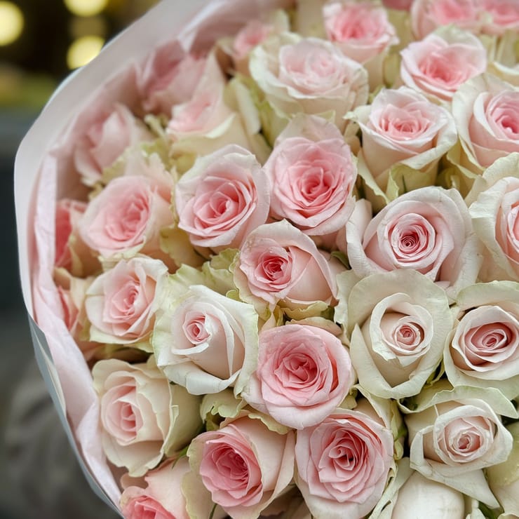 51 pink roses Kenia – flower delivery in Abano Terme