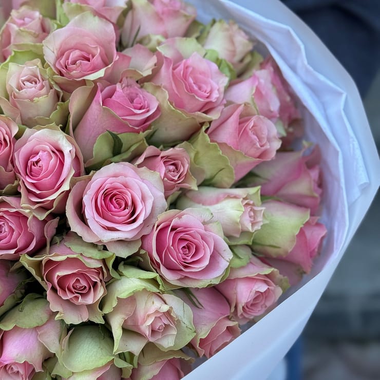 51 рожева троянда Кенія  – доставка квітів у Вентспілс