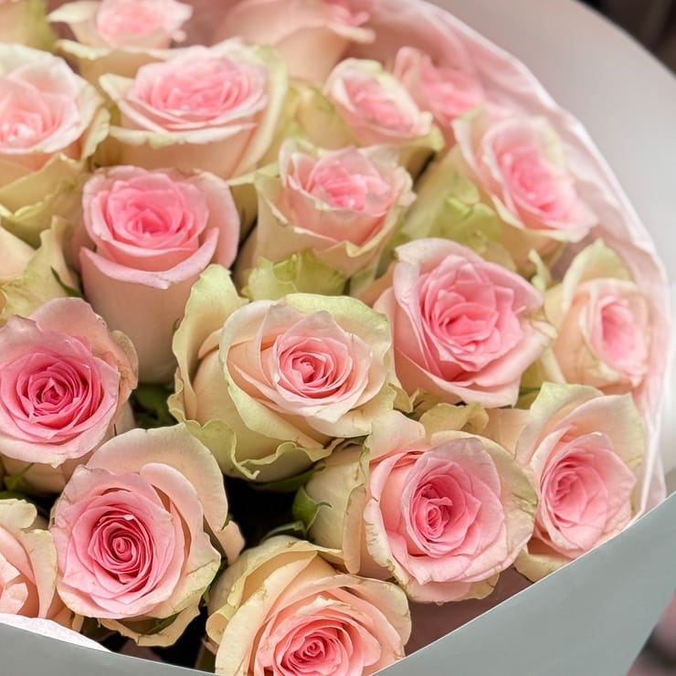 25 розовых роз Кения – доставка цветов в Юбилейное (Запорожская область)