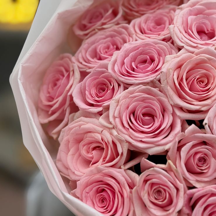 25 розовых роз Кения – доставка цветов в Гент (Бельгия)