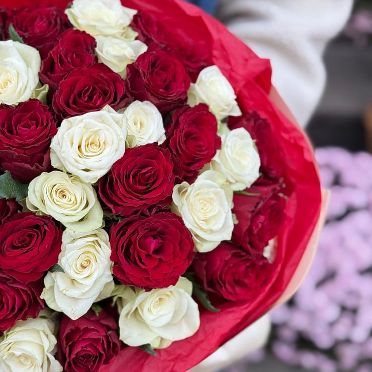51 красная и белая роза Кения – доставка цветов в Юбилейное (Запорожская область)