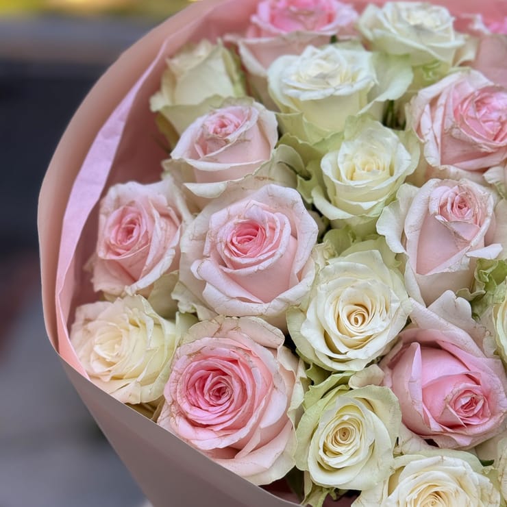 25 розовых и белых роз Кения – доставка цветов в Юбилейное (Запорожская область)