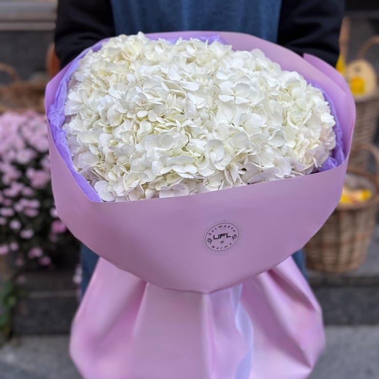 Букет білих гортензій – доставка квітів у Аваруа