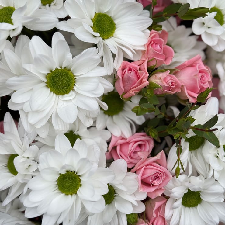 Нежное утро – доставка цветов в Фано