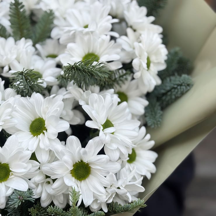 Подих зими – доставка квітів у Червоноармійськ