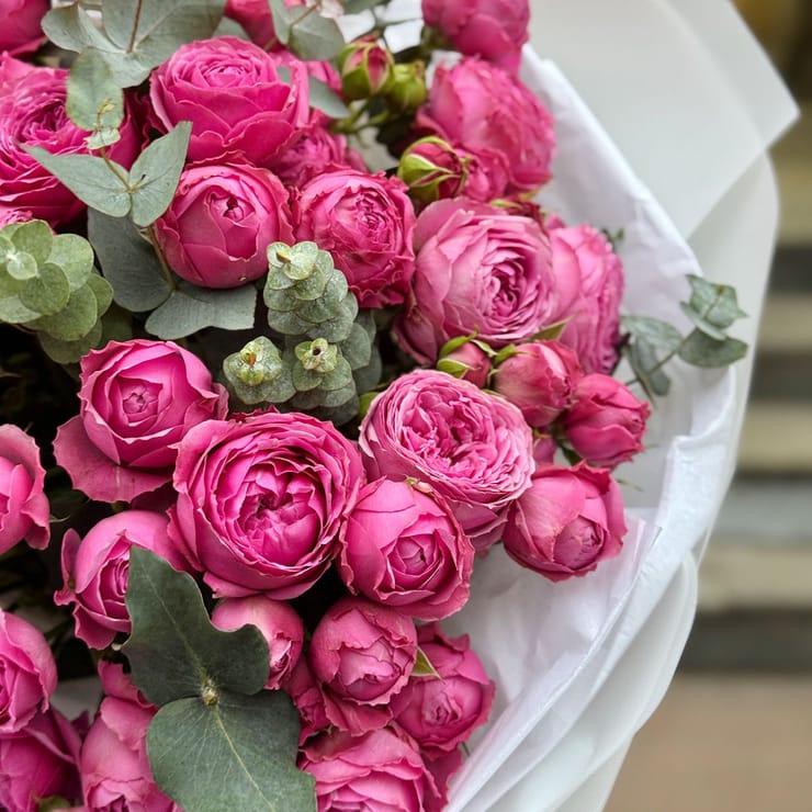 25 pink peony spray roses – flower delivery in North Sydney