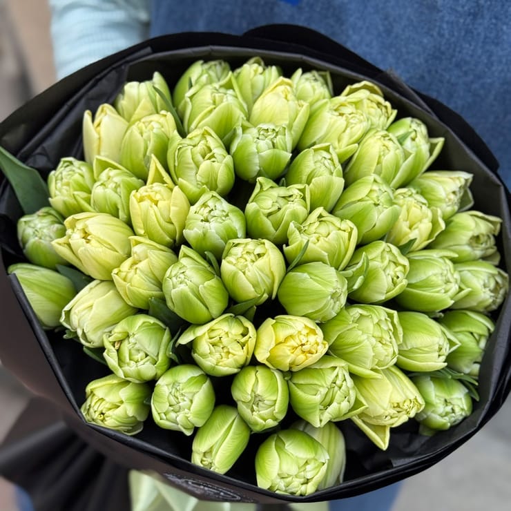 51 tulips Verona – flower delivery in Taiyuan