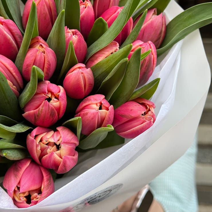 25 тюльпанів Columbus – доставка квітів у Хмельницька область