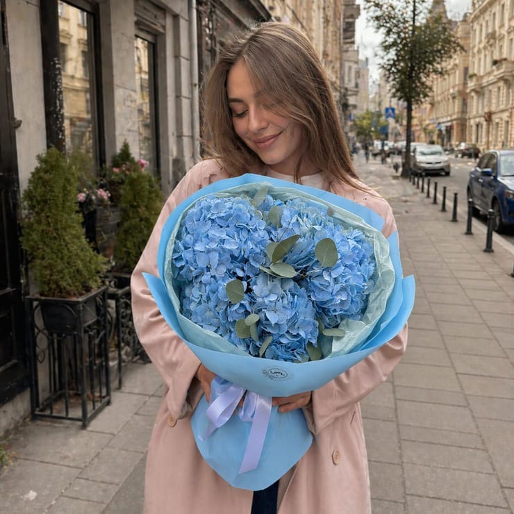 Bouquet 5 blue hydrangeas, Belozerka