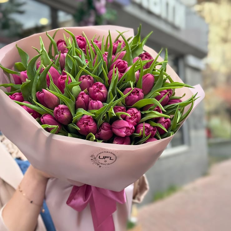 51 peony tulips – flower delivery in Kyiv (Kiev)