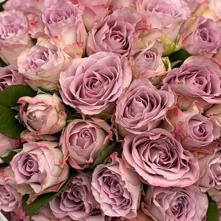 51 roses Memory Lane – flower delivery in Karabulak
