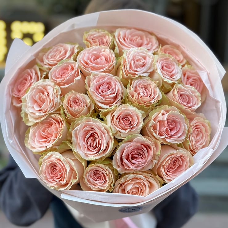 25 roses Doris Day – flower delivery in Nisporeni