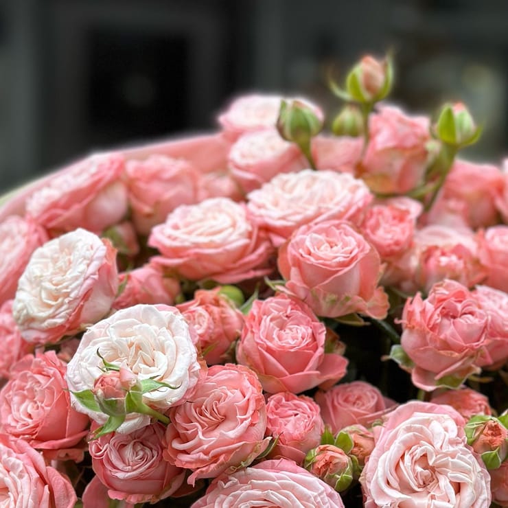 Bouquet of spray roses 17 pcs – flower delivery in Bukovel