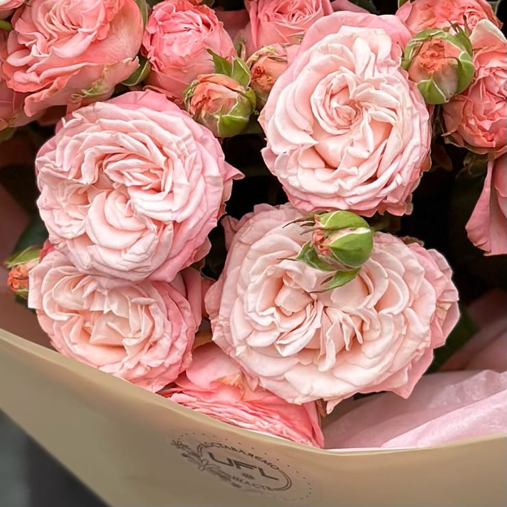 Bouquet of spray roses 17 pcs – flower delivery in Bukovel