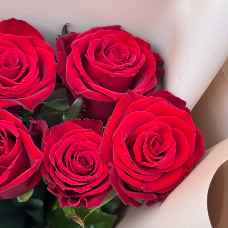 Букет 7 червоних троянд Освідчення – доставка квітів у Красноград