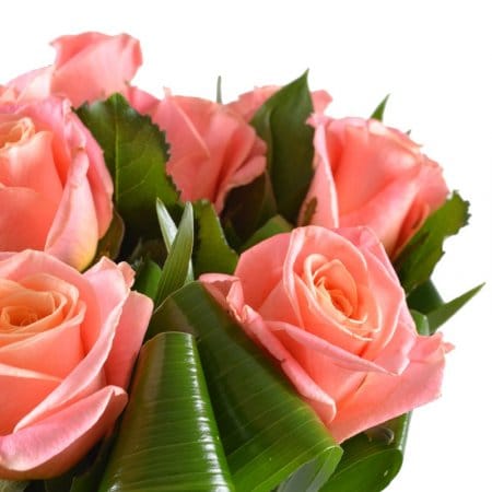 Афродита 11 коралловых роз – доставка цветов в Дунаевцы