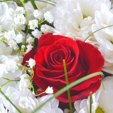 Букет квітів Шик – доставка квітів у Айленд Резортс