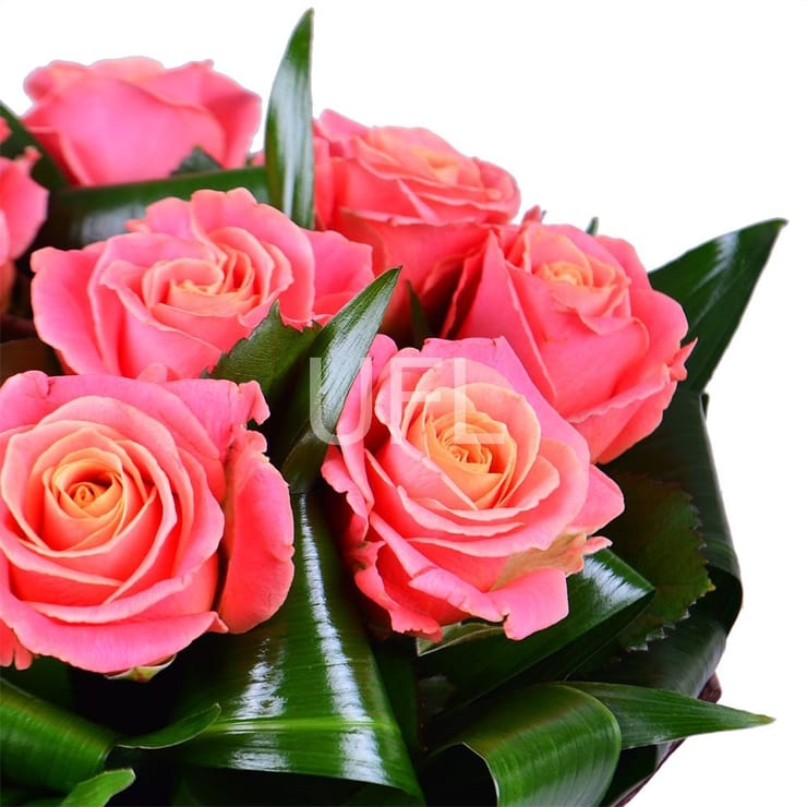 Букет цветов Гармония 9 роз – доставка цветов в Кретинга