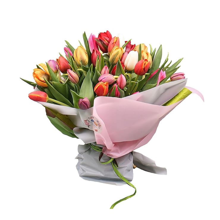 Tulips! – flower delivery in Tashkent