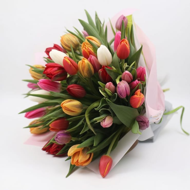 Букет 51 тюльпанів – доставка квітів у Ейлат
