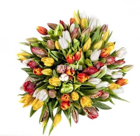 Букет 51 тюльпанів – доставка квітів у Дублін