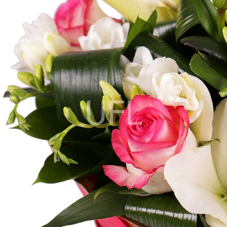 Букет квітів Захоплення – доставка квітів у Мбабане