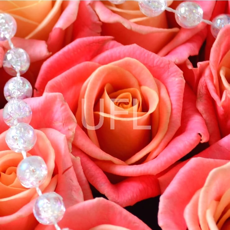 Цветочная композиция из 75 роз Сердце ангела – доставка цветов в Порт Морсби