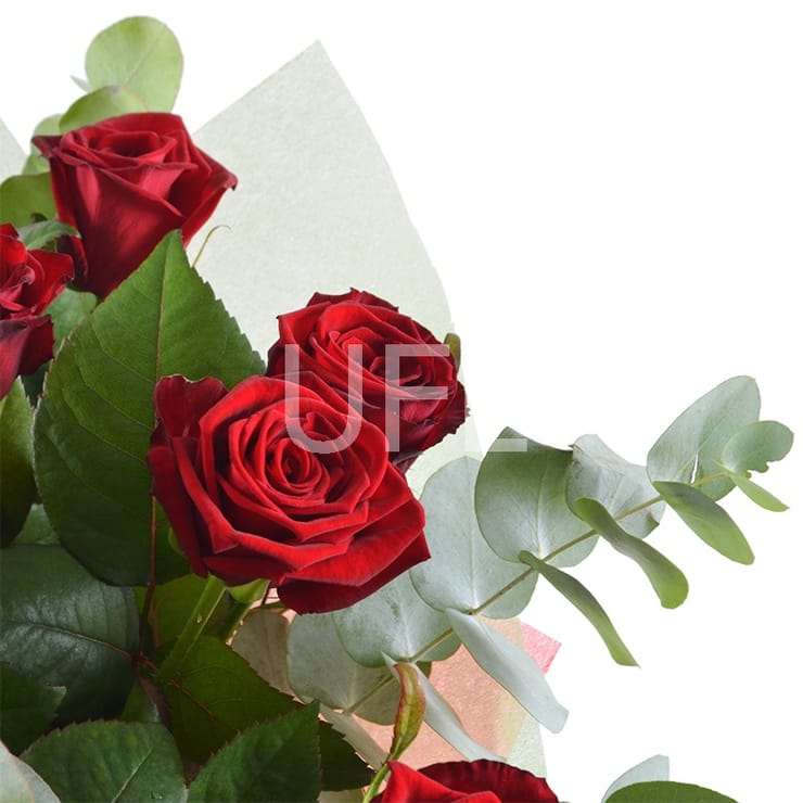 Букет 15 червоних троянд – доставка квітів у Славута