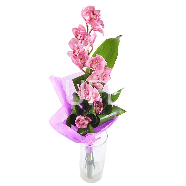 Букет з орхідеї – доставка квітів у Нижні Серогози