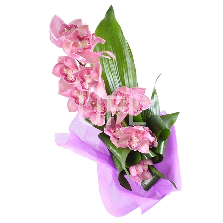 Букет з орхідеї – доставка квітів у Нижні Серогози