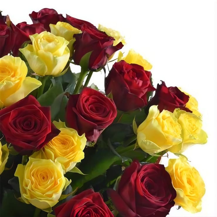 Букет квітів Ренесанс 51 троянда – доставка квітів у Конвей
