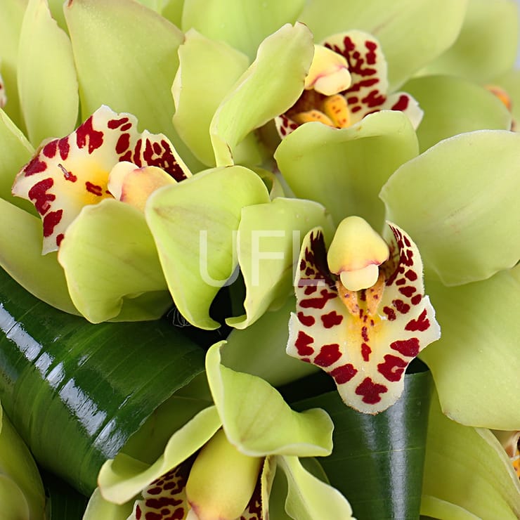 Букет Экзотический – доставка цветов в Порт Морсби