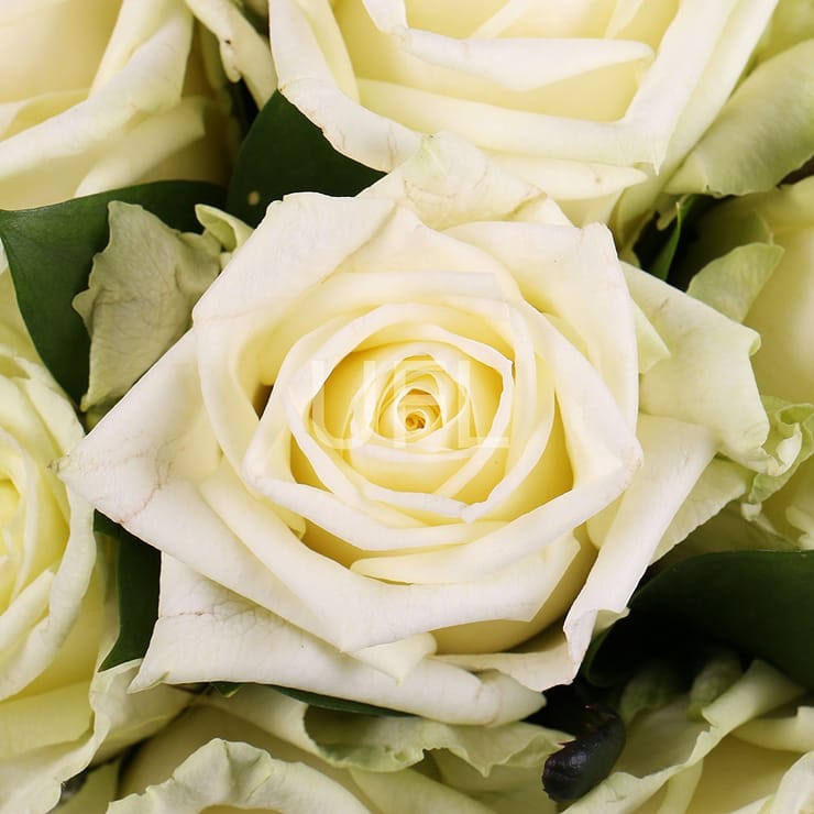 Букет цветов Прикосновение зимы – доставка цветов в Порт Морсби